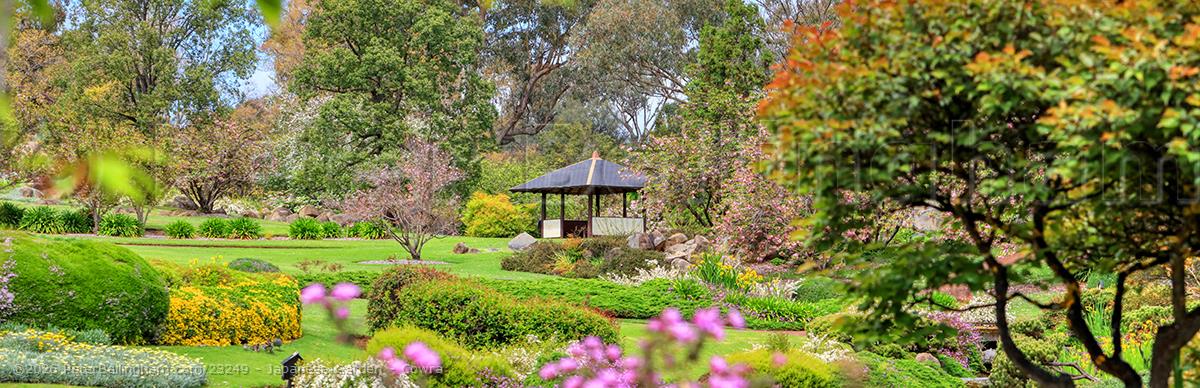 Peter Bellingham Photography Japanese Garden - Cowra
